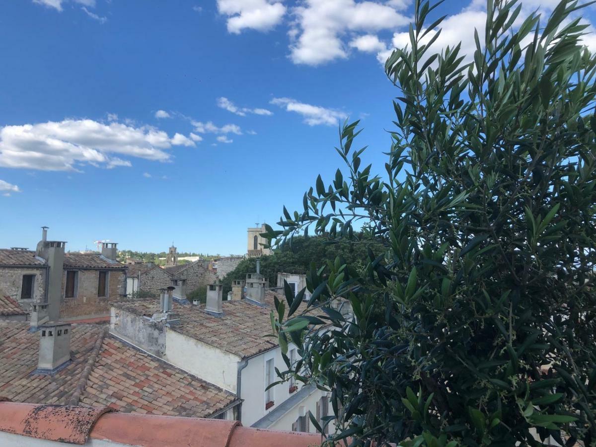Appartement Avec Terrasse Panoramique Au Coeur De Nîmes Exteriér fotografie